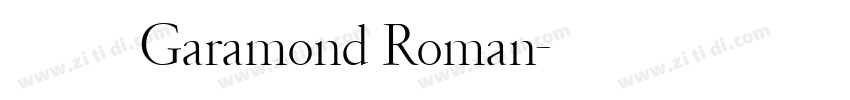 成熟经典 Garamond Roman字体转换